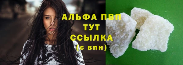 стаф Новозыбков