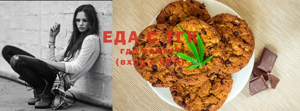 стаф Новозыбков
