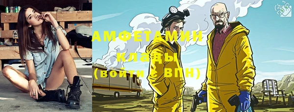 стаф Новозыбков