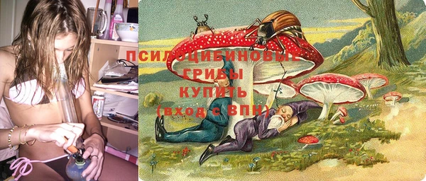 стаф Новозыбков